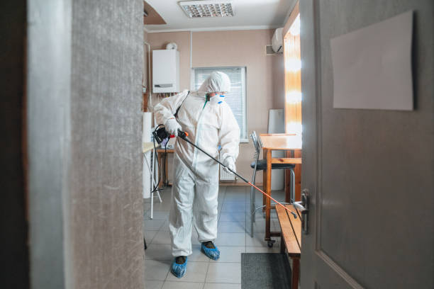 Best Mold Damage Restoration  in Loop, PA