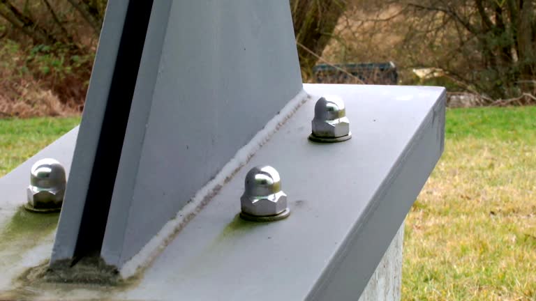 Best Forensic Mold Investigation  in Loop, PA